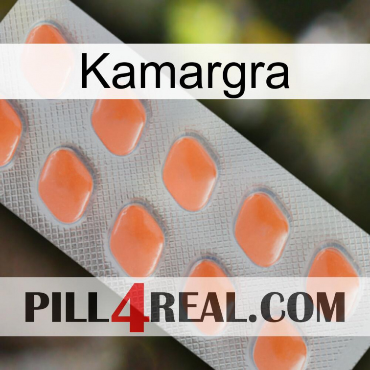 Kamargra 26